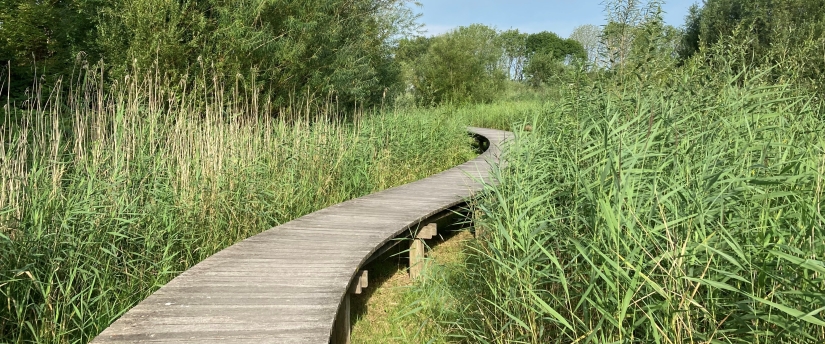 Wandelpad